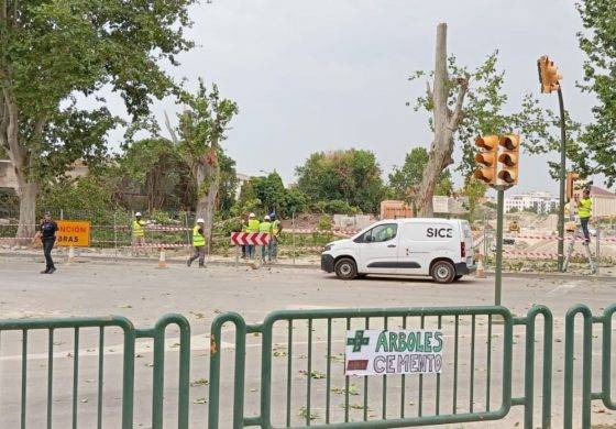 Cambiar Huesca–Izquierda Unida exige al Ayuntamiento que paralice la tala de árboles en Martínez de Velasco