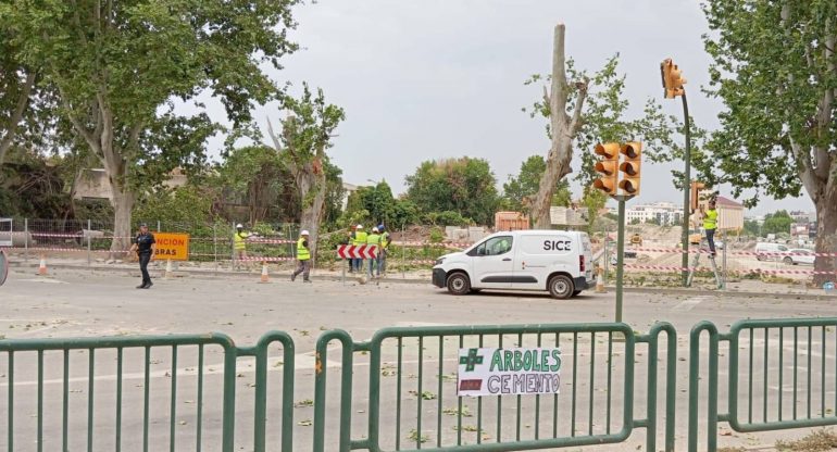 Cambiar Huesca–Izquierda Unida exige al Ayuntamiento que paralice la tala de árboles en Martínez de Velasco