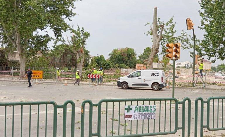 Cambiar Huesca–Izquierda Unida exige al Ayuntamiento que paralice la tala de árboles en Martínez de Velasco