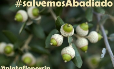 La Plataforma Loporzano SIN Ganadería Intensiva lanza la campaña “Salvemos El Abadiado”