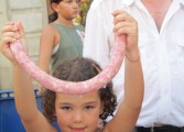 A la rica longaniza de Graus