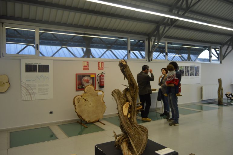 Más de 200 estudiantes ya se han inscrito en las visitas guiadas a la exposición «La memoria de los árboles», que se inauguró ayer