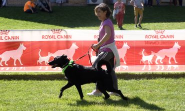 Más de 40 razas y más de 100 perros han protagonizado el IV Evento Canino celebrado hoy en Brotalia