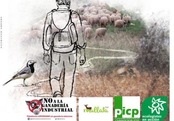Paseo a pie semicircular por la Cañada Real a Nocito el 7 de abril, Día de las Vías Pecuarias
