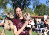 Un centenar de perros y cerca de 500 personas se han dado cita en el V Evento Canino de Brotalia