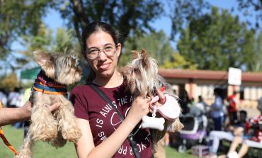 Un centenar de perros y cerca de 500 personas se han dado cita en el V Evento Canino de Brotalia