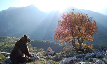 Semana del Pirineismo en Graus