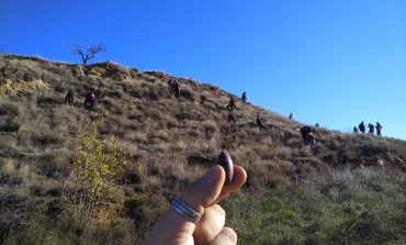 La gran Bellotada Ibérica de Cuarte