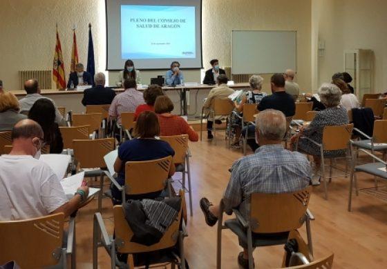 El Consejo de Salud de Aragón retoma sus reuniones en una sesión centrada en el COVID-19