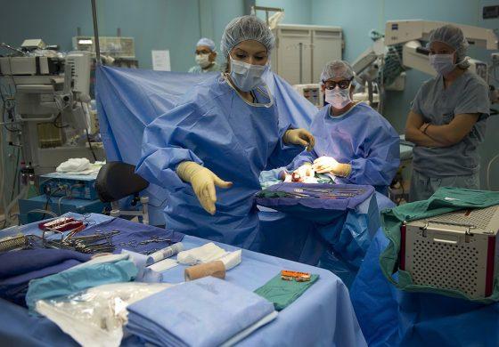 La Asociación Médica Mundial aprueba la “Declaración de Córdoba” en defensa de la relación médico-paciente