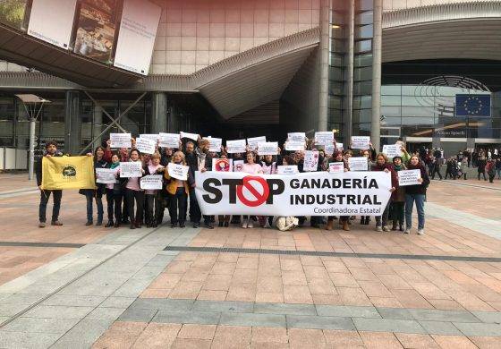Loporzano SIN Ganadería Intensiva considera urgente una moratoria a la ganadería industrial a nivel estatal