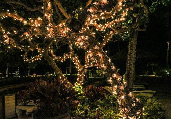 Mejora el exterior de tu hogar con la mejor iluminación