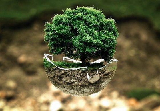 Productos de bajo consumo, una demanda que crece, favoreciendo al planeta y al bolsillo