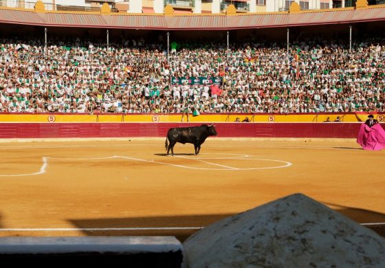 Tauroemoción seguirá al frente de Huesca en 2022