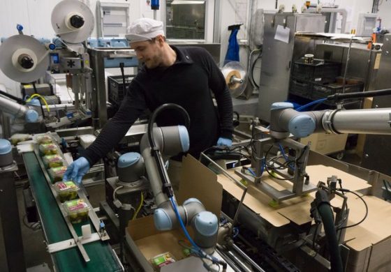 Automatización y robótica industrial ¿Podrían los robots despojarnos de nuestras tareas?