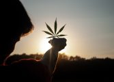 Posición de los productos cannábicos en Europa
