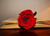 ¿Cómo se celebra Sant Jordi en Cataluña y Aragón?