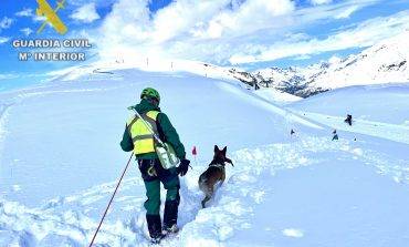 La Guardia Civil realiza un plan de instrucción de perros de búsqueda en Formigal-Panticosa