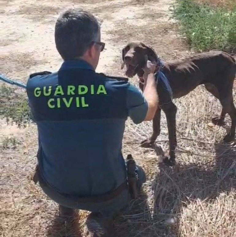 Guardia Civil rescata a un perro de ahogarse en el interior de una balsa de riego de Bolea
