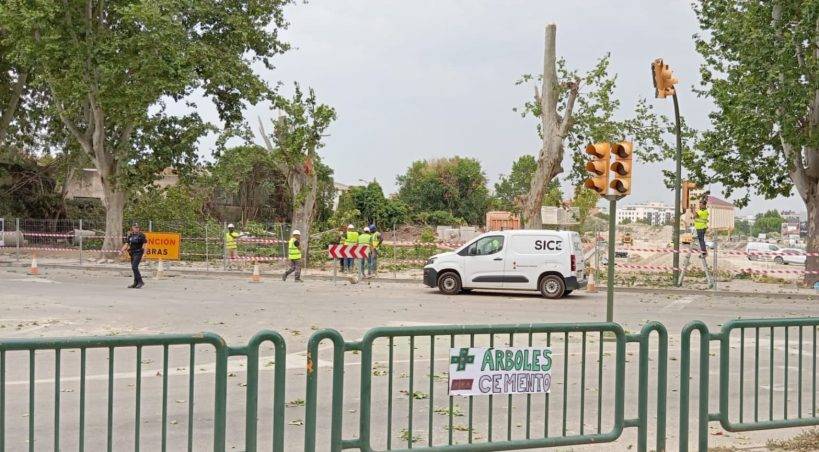 Cambiar Huesca–Izquierda Unida exige al Ayuntamiento que paralice la tala de árboles en Martínez de Velasco